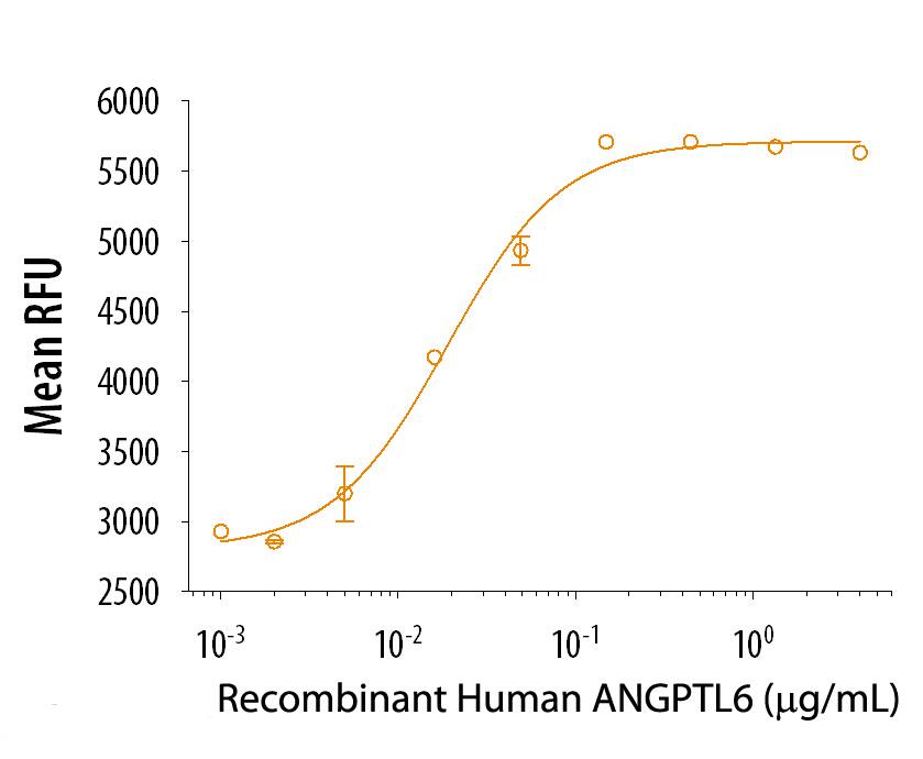 Recombinant Human ANGPTL6 promotes the expansion of E16 rat liver mononuclear cells in the presence of Recombinant Mouse SCF/c-kit, Recombinant Mouse Thrombopoietin/TPO, and Recombinant Mouse Flt-3 Ligand. The ED50 for this effect is 8-40 ng/ml in the presence of a cross-linking Mouse Anti-Human c-Myc Monoclonal Antibody.