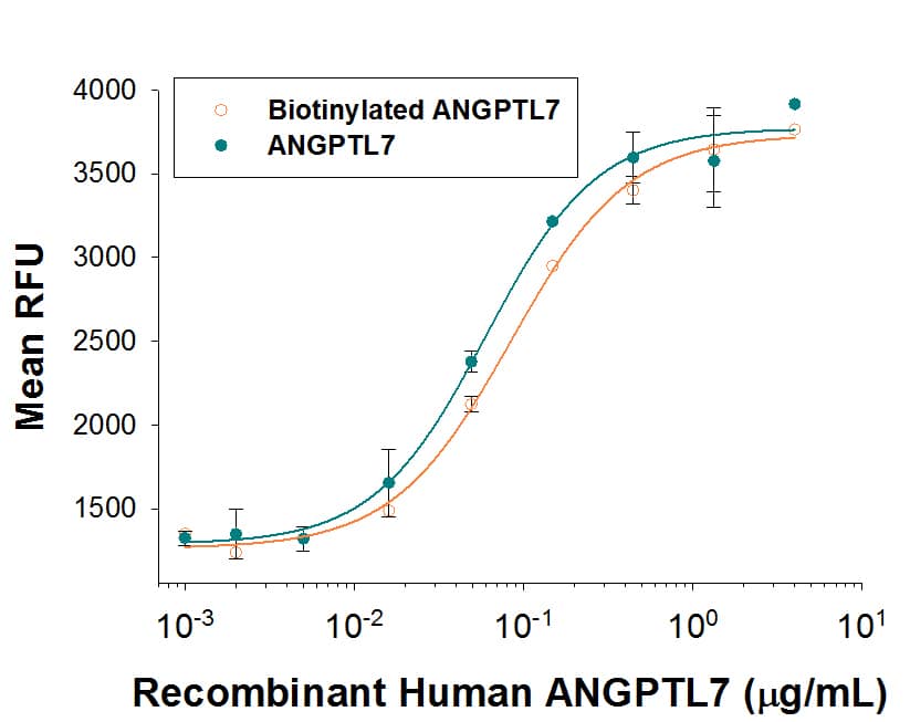 Both Biotinylated rhANGPTL7 (Catalog # BT914) and unlabeled Recombinant Human Angiopoietin-like Protein 7/ANGPTL7 (Catalog # 914-AN) stimulate the expansion of E16-E18 rat liver mononuclear cellsin vitro, in the presence of Recombinant Mouse SCF/c-kit Ligand (Catalog # 455-MC), Recombinant Mouse Thrombopoietin/Tpo (Catalog # 488-TO) , and Recombinant Mouse Flt-3 Ligand (Catalog # 427-FL). The ED50 for this effect is 50-200 ng/mL in the presence of a cross-linking antibody, His Tag MAb (Catalog # MAB050) . The similarity in activity highlights that the biotinylated protein is fully functional.