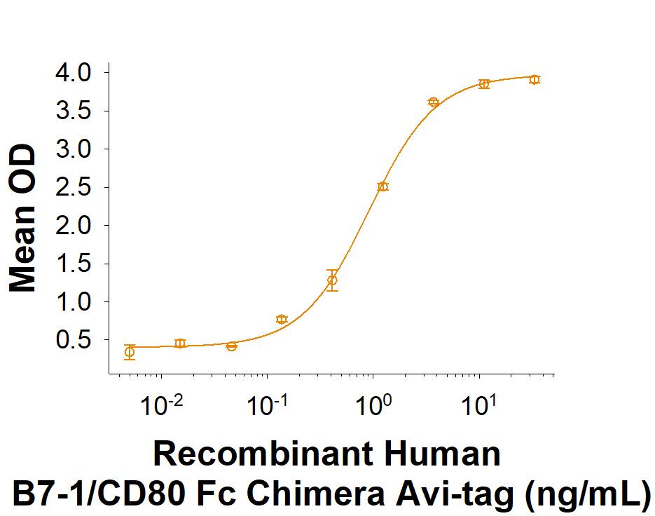 When Recombinant Human CTLA-4 Fc Chimera (Catalog # 7268-CT) is immobilized at 0.25 µg/mL, Recombinant Human B7-1/CD80 Fc Chimera Avi-tag (Catalog # AVI10107) binds with an ED50 of 0.4-2 ng/mL.
