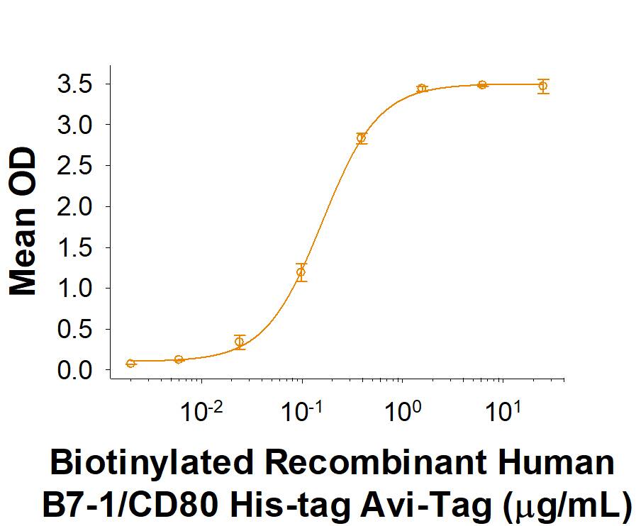 When Recombinant Human CTLA-4 Fc Chimera (Catalog # 7268-CT) is immobilized at 1 µg/mL, Biotinylated Recombinant Human B7-1/CD80 His-tag Avi-tag protein (Catalog # AVI9050) binds with an ED50 of 0.1-0.6 µg/mL.