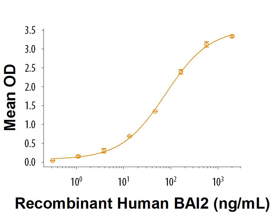 Bioactivity BAI2 [Unconjugated]