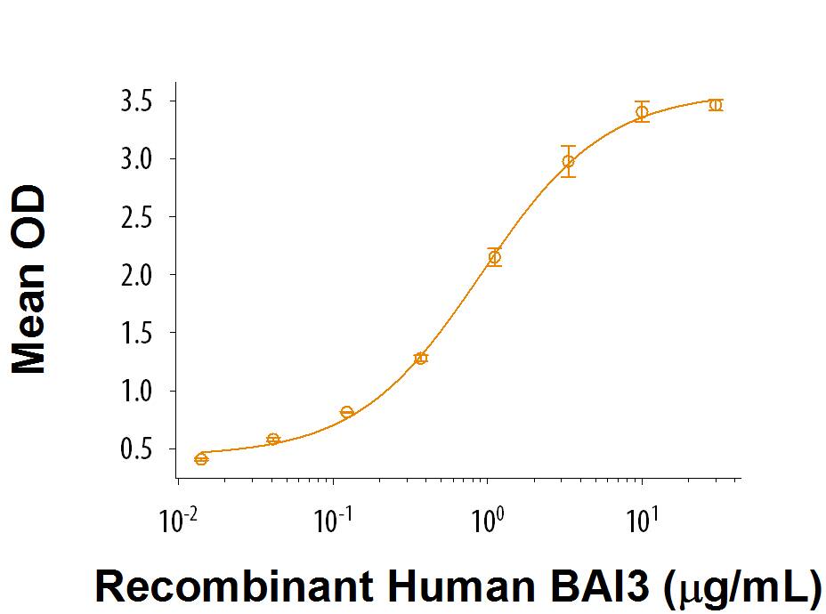When Recombinant Human C1qL3 (Catlog # 9115-TN) is coated at 1 µg/mL (100 μL/well), Recombinant Human BAI3 (Catlog # 9106-BA) binds with a typical ED50 of 0.3-1.8 μg/mL.
