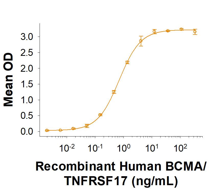 When Recombinant Human APRIL/TNFSF13 (Catalog # 5860-AP) is immobilized at 0.1 µg/mL, Recombinant Human BCMA/TNFRSF17 Fc Chimera Avi-tag (Catalog # AVI193) binds with an ED50 of 0.3-1.8 ng/mL.