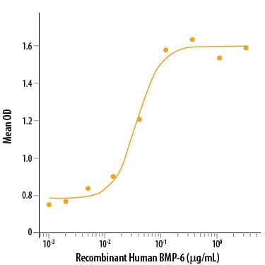 Bioactivity BMP-6 [Unconjugated]