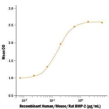 Recombinant Human/Mouse/Rat BMP-2 (Catalog # 355-BEC/CF) induces alkaline phosphatase production in the ATDC5 mouse chondrogenic cell line. The ED50 for this effect is 0.08-0.48 μg/mL.