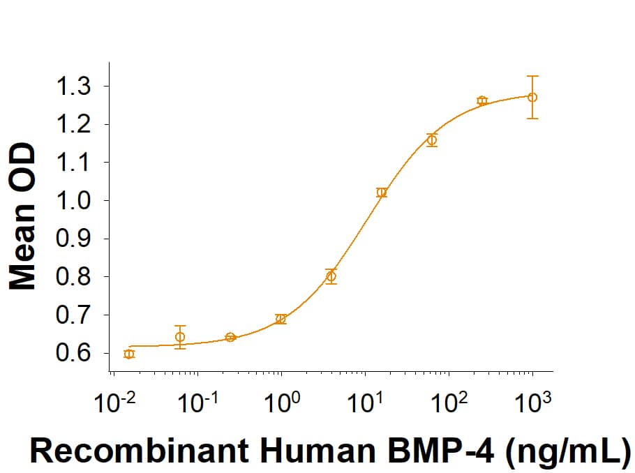 Bioactivity BMP-4 [Unconjugated]