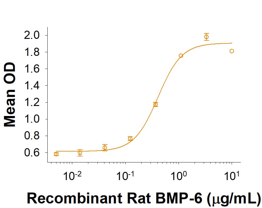 Recombinant Rat BMP-6 (Catalog # 10420-BM) induces alkaline phosphatase production in the ATDC5 mouse chondrogenic cell line. The ED50 for this effect is 0.15-0.9 μg/mL.