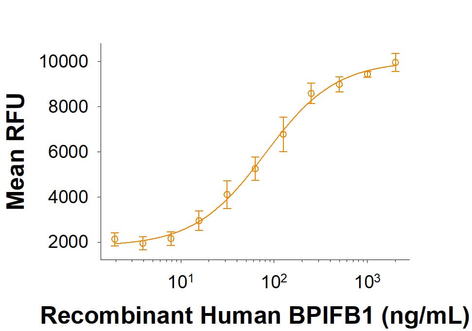 Recombinant Human BPIFB1 His-tag binds to fluorescein-conjugatedE. coliBioparticles. The ED50 for this effect is 30-240 ng/mL.