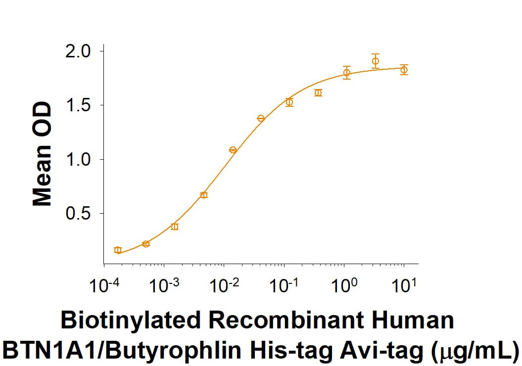 When Rabbit Anti-Human BTN1A1/Butyrophilin Monoclonal Antibody (Catalog # MAB84671) is immobilized at 10 μg/mL, 100 μL/well, it binds Biotinylated Recombinant Human BTN1A1/Butyrophilin His-tag Avi-tag (Catalog # AVI8467) with an ED50 of 0.01-0.1 μg/mL.