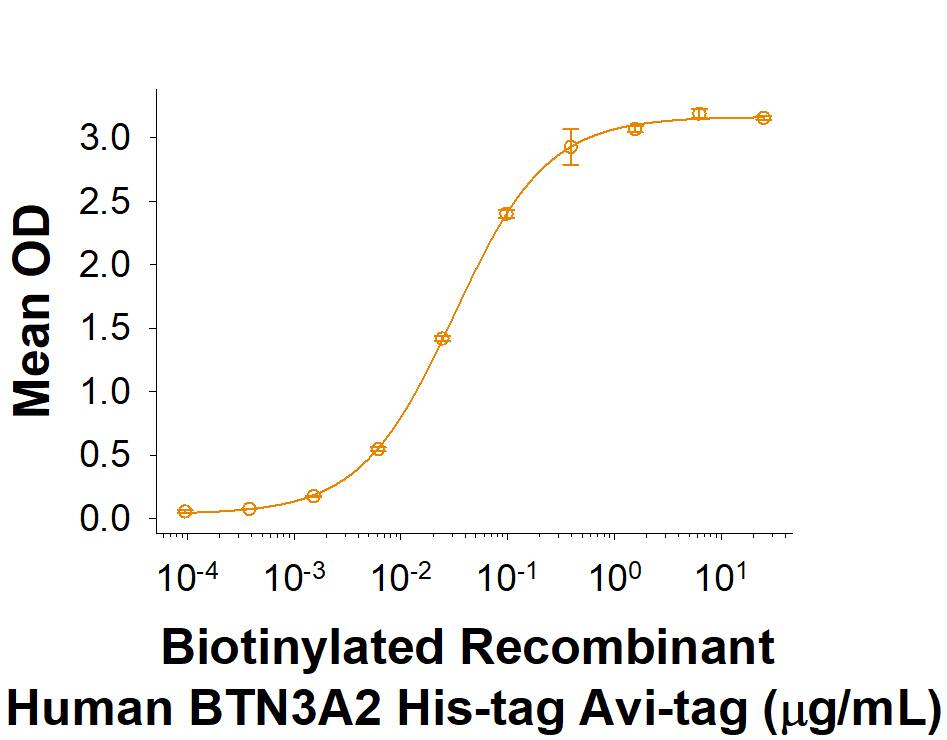 When Sheep Anti-Human BTN3A1/2 Antigen Affinity-purified Polyclonal Antibody (Catalog # AF7136) is immobilized at 1.0 µg/mL, 100 µL/well, the concentration of Biotinylated Recombinant Human BTN3A2 His-tag Avi-tag (Catalog # AVI9514) that produces 50% of the optimal binding response is approximately 15-75 ng/mL.