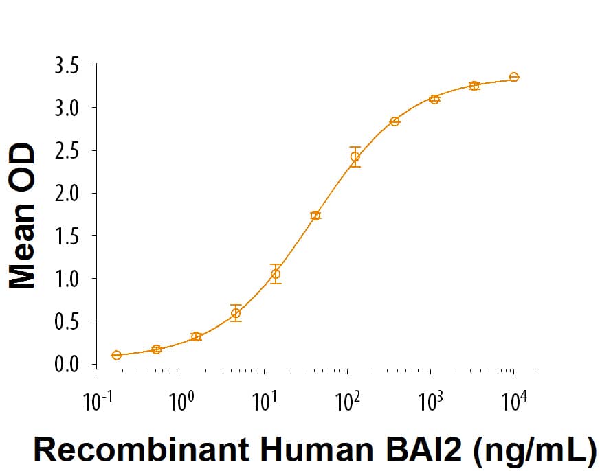 When Recombinant Human C1qL3 (Catalog # 9115-TN) is coated at 2 µg/mL, Recombinant Human BAI2 Fc Chimera binds with a typical ED50 of 25-150 ng/mL.