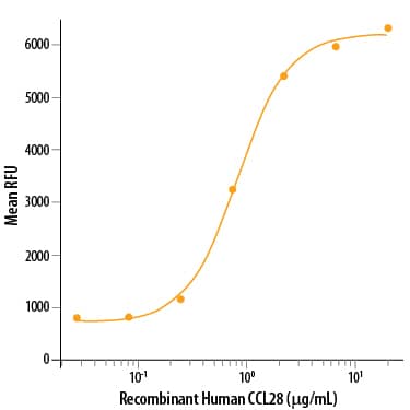 Recombinant Human CCL28 (Catalog # 717-VC) chemoattracts the BaF3 mouse pro-B cells transfected with mouse CCR10. The ED50 for this effect is 0.4‑2.0 μg/mL.