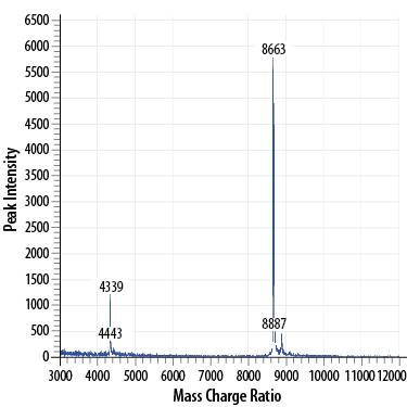 MALDI-TOF analysis of Recombinant Human CCL2/MCP-1. The major peak corresponds to the calculated molecular mass, 8679 Da. The minor peak at 8887 is a matrix-associated artifact of the MALDI-TOF.