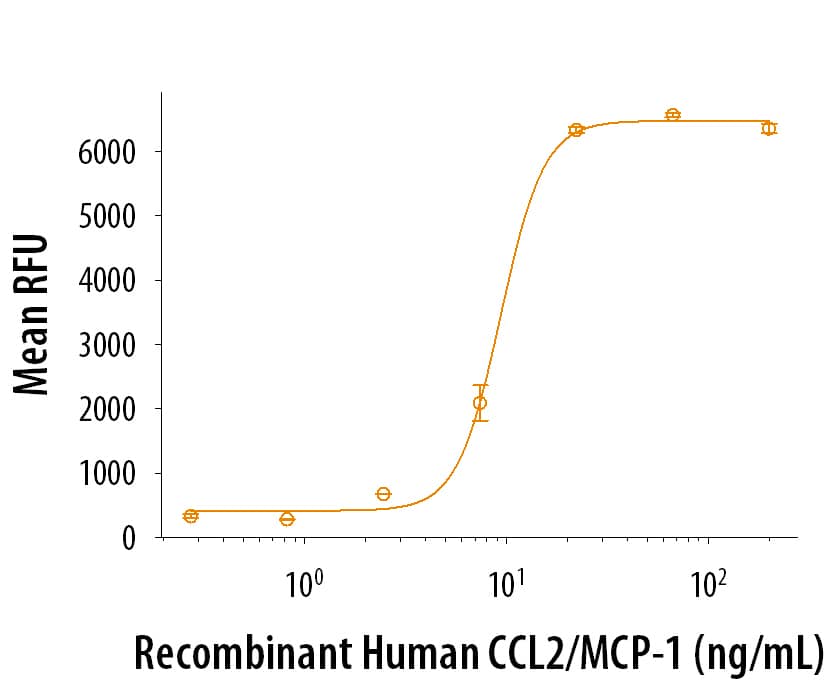 Recombinant Human CCL2/ MCP-1 (Catalog # 279-MC) chemoattracts the BaF3 mouse pro-B cell line transfected with human CCR2A. The ED50 for this effect is 5-30 ng/mL.