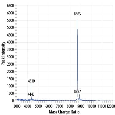 MALDI-TOF analysis of Recombinant Human CCL2/MCP-1. The major peak corresponds to the calculated molecular mass, 8679 Da. The minor peak at 8887 is a matrix-associated artifact of the MALDI-TOF.
