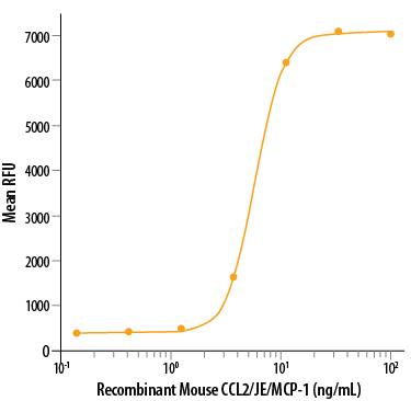 Recombinant Mouse CCL2/JE/MCP-1 (Catalog # 479-JE) chemoattracts the BaF3 mouse pro-B cell line transfected with human CCR2A. The ED50 for this effect is 2-10 ng/mL.