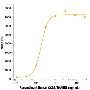 Recombinant Human CCL5/RANTES (Catalog # 278-RN) chemoattracts the BaF3 mouse pro-B cell line transfected with human CCR5. The ED50 for this effect is 1-5 ng/mL.