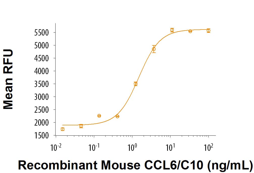 Recombinant Mouse CCL6/C10 (Catalog # 3210-C/CF) chemoattracts BaF3 mouse pro B cells transfected with human CCR1. The ED50 for this effect is 0.5-2 ng/mL.