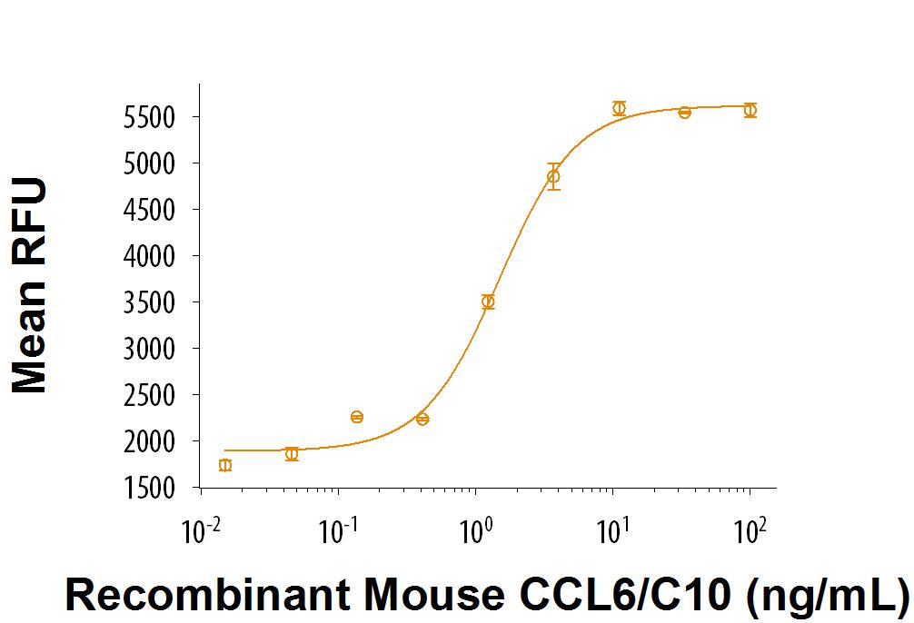 Recombinant Mouse CCL6/C10 (Catalog # 3210-C) chemoattracts BaF3 mouse pro B cells transfected with human CCR1. The ED50 for this effect is 0.5-2 ng/mL.