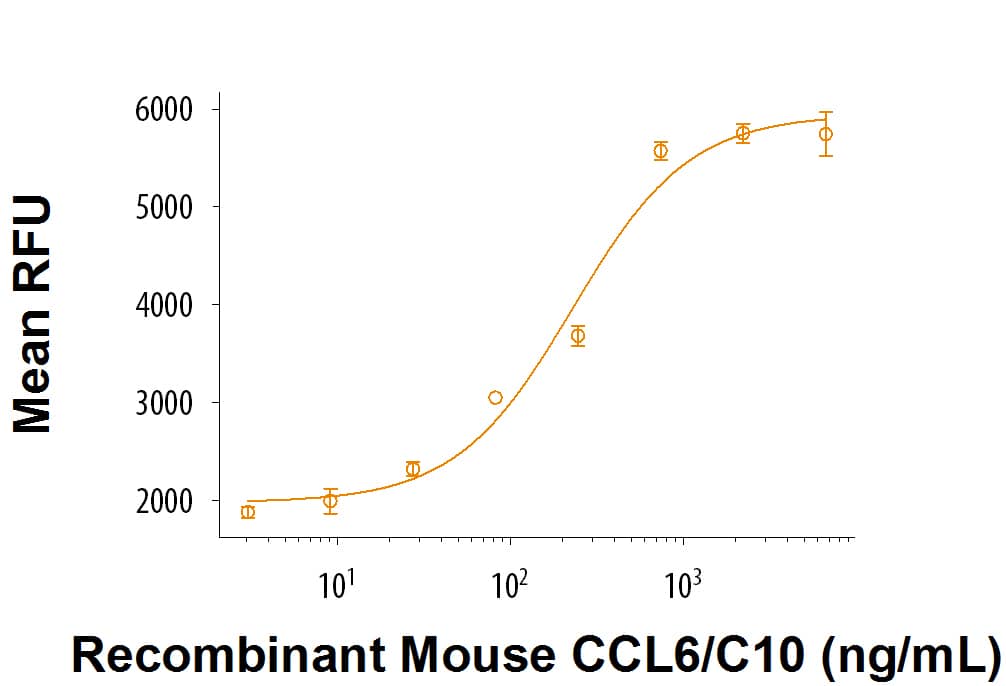 Recombinant Mouse CCL6/C10 (Catalog # 487-C) chemoattracts BaF3 mouse pro B cells transfected with human CCR1. The ED50 for this effect is 50-250 ng/mL.