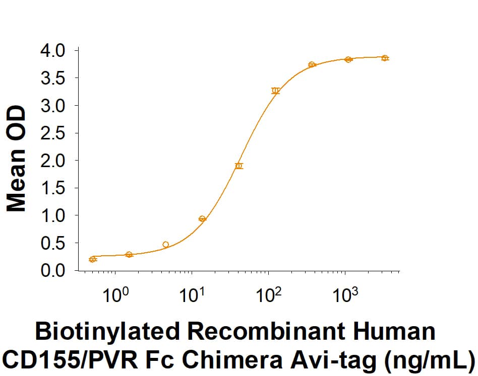 When Recombinant Human CD96v2 Fc Chimera (Catalog # 9556-CD) is immobilized at 1 µg/mL, Biotinylated Recombinant Human CD155/PVR Fc Chimera Avi-tag (Catalog # AVI9174) binds with an ED50 of 10-60 ng/mL.