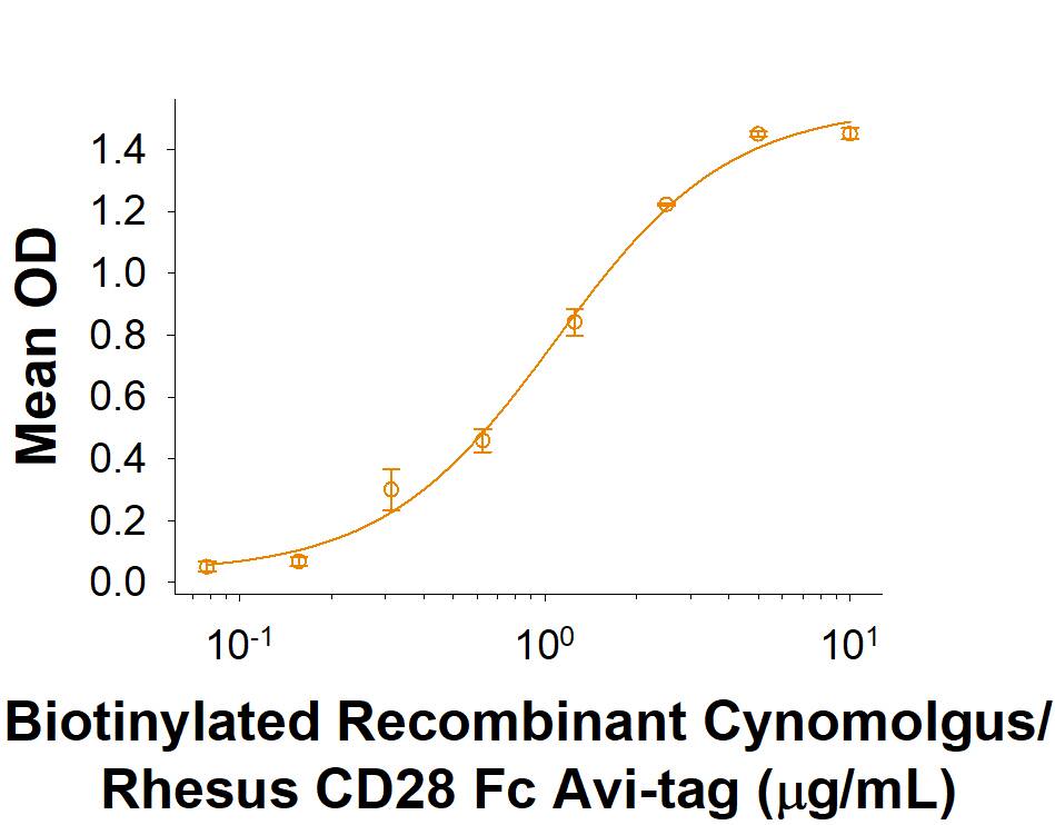 Binding Activity CD28 [Biotin]