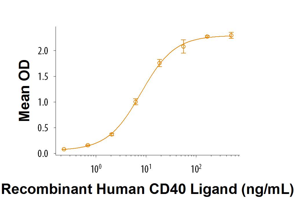 When Recombinant Cynomolgus Monkey CD40/TNFRSF5 Fc Chimera (Catalog # 9660-CD) is immobilized at 1 µg/mL, 100 µL/well, Recombinant Human CD40 Ligand/TNFSF5 (Catalog # 6420-CL) binds with an ED50 of 5-25 ng/mL.