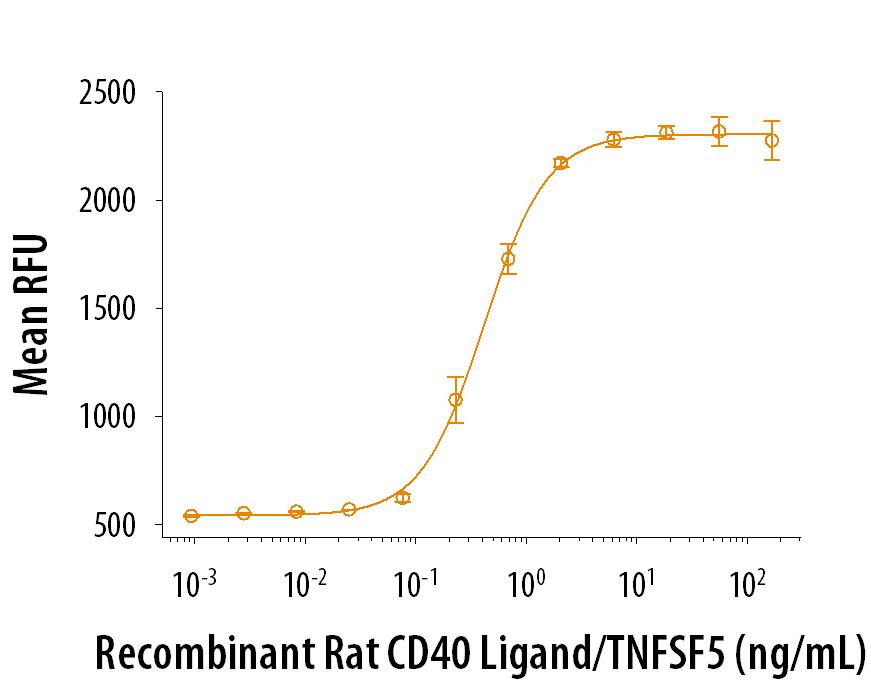 Recombinant Rat CD40 Ligand (Catalog# 8414-CL/CF) induces cell proliferation by mouse splenic B cells in the presence of IL-4. The ED50 for this effect is 0.15-0.9 ng/mL in the presence of 0.1 µg/mL of the cross-linking antibody, Mouse Anti-Hemagglutinin/HA Peptide Monoclonal Antibody (Catalog # MAB060).