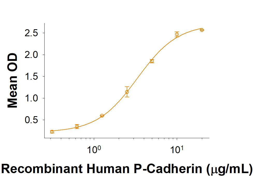 When Recombinant Human CDCP1 Fc Chimera (Catalog # 10328-CU) is immobilized at 2 µg/mL (100 µL/well), Recombinant Human P-Cadherin Fc Chimera (Catalog # 861-PC) binds with an ED50 of 0.75-6 µg/mL.