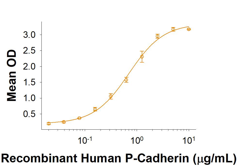 When Recombinant Human CDCP1 Fc Chimera (Catalog # 10402-CU) is immobilized at 1 µg/mL (100 µL/well), Recombinant Human P-Cadherin Fc Chimera (Catalog # 861-PC) binds with an ED50 of 0.3-2.7 µg/mL.