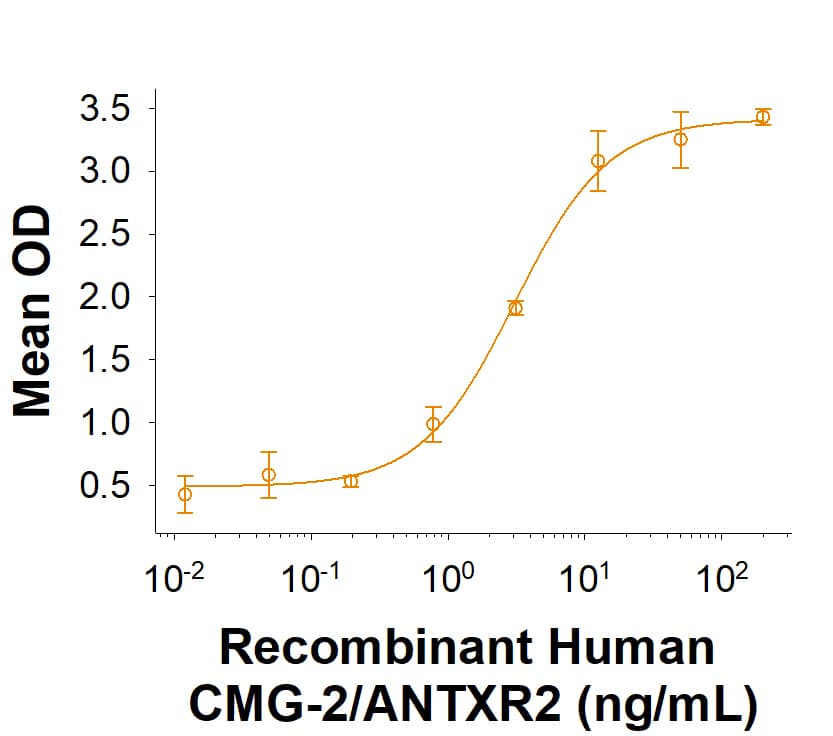 Binding Activity CMG-2/ANTXR2 [Unconjugated]
