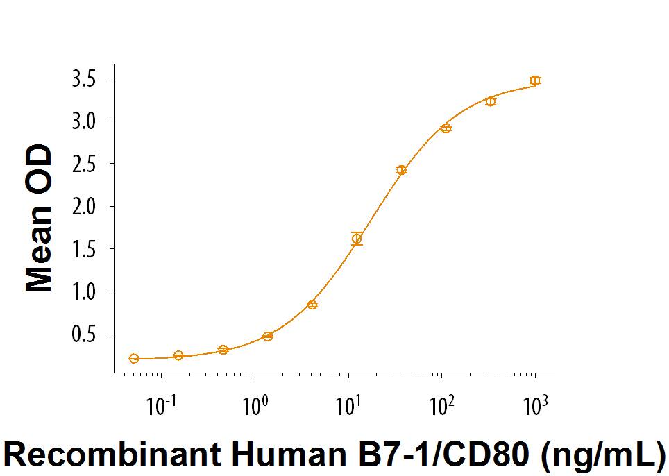 When Recombinant Cynomolgus Monkey CTLA-4 Fc Chimera (Catalog # 9336-CT) is coated at 0.5 µg/mL, 100 µL/well, Recombinant Human B7-1/CD80 Fc Chimera (Catalog # 140-B1) binds with an ED50 of 5-30 ng/mL.