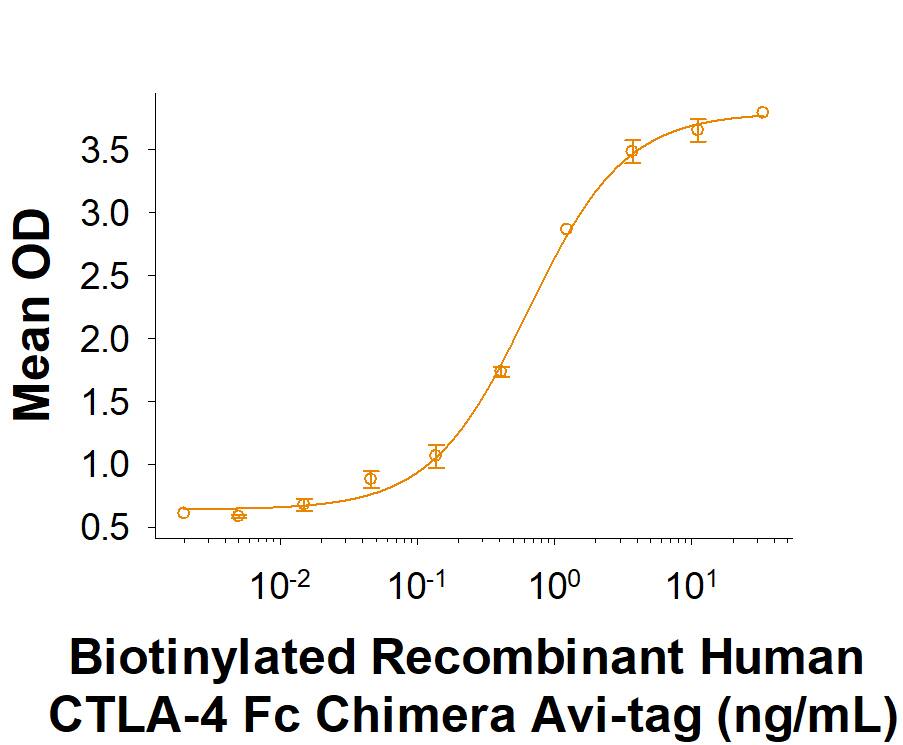 When Recombinant Human B7-1/CD80 Fc Chimera (Catalog # 10133-B1) is immobilized at 0.5 µg/mL, Biotinylated Recombinant Human CTLA-4 Fc Chimera Avi-tag (Catalog # AVI7268) binds with an ED50 of 0.4-2.4 ng/mL.
