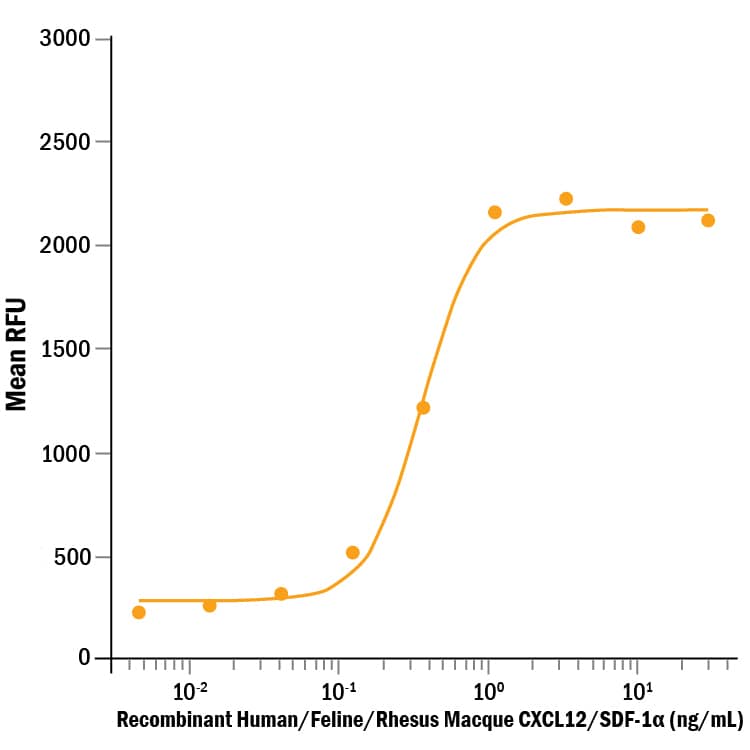 Recombinant Human/Rhesus Macaque/Feline CXCL12/SDF-1 alpha  (Catalog # 350-NS/CF) chemoattracts the BaF3 mouse pro-B cells transfected with human CXCR4. The ED50 for this effect is 0.0600-0.600 ng/mL.