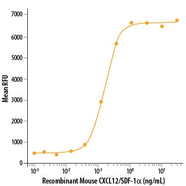 Recombinant Mouse CXCL12/SDF-1 alpha  (Catalog # 460-SD) chemoattracts the BaF3 mouse pro-B cells transfected with human CXCR4. The ED50 for this effect is 0.0300-0.360 ng/mL.