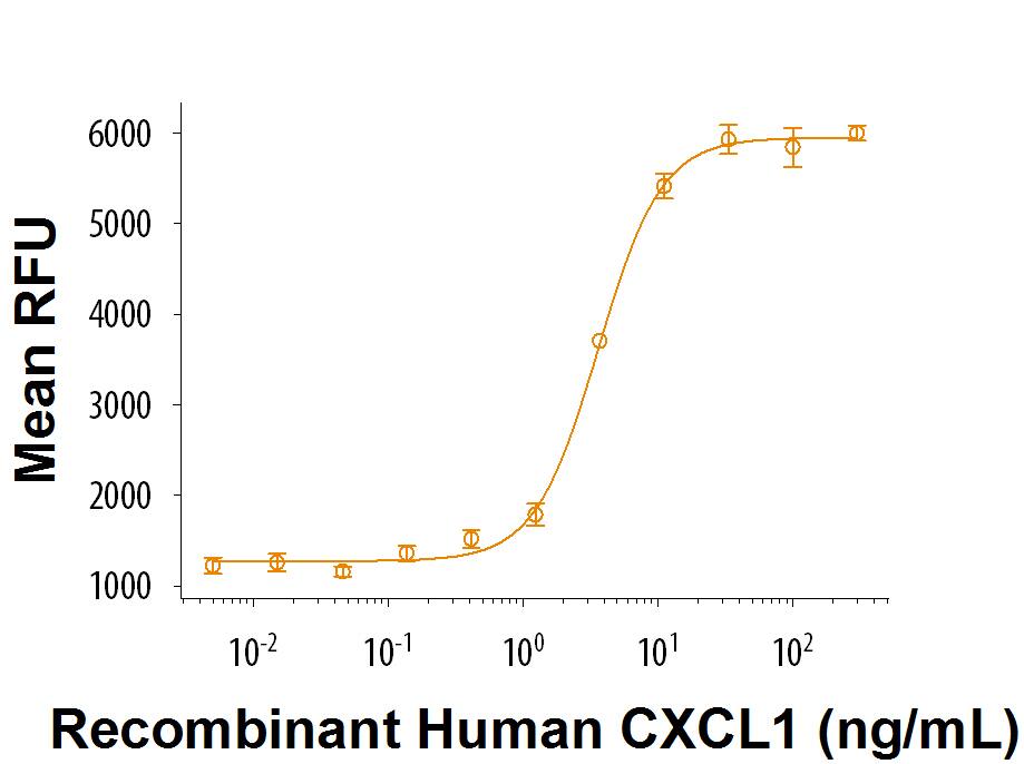 Recombinant Human CXCL1/GRO alpha (Catalog # 275-GR) chemoattracts BaF3 mouse pro B cells transfected with human CXCR2. The ED50 for this effect is 1‑4 ng/mL.