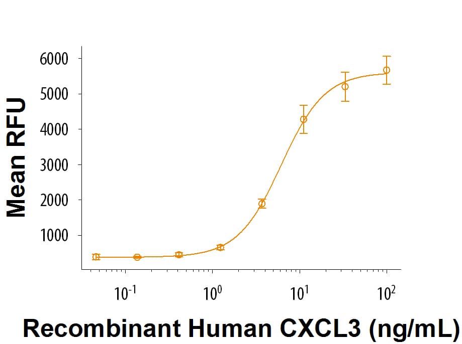 Recombinant Human CXCL3/GRO gamma (Catalog # 277-GG/CF) chemoattracts BaF3 mouse pro B cells transfected with human CXCR2. The ED50 for this effect is 2-10 ng/mL.