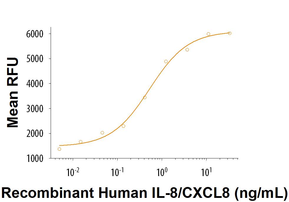 Recombinant Human IL-8/CXCL8 (Catalog # 208-IL) chemoattracts the BaF3 mouse pro-B cell line transfected with human CXCR2. The ED50 for this effect is 0.5-2.5 ng/mL.