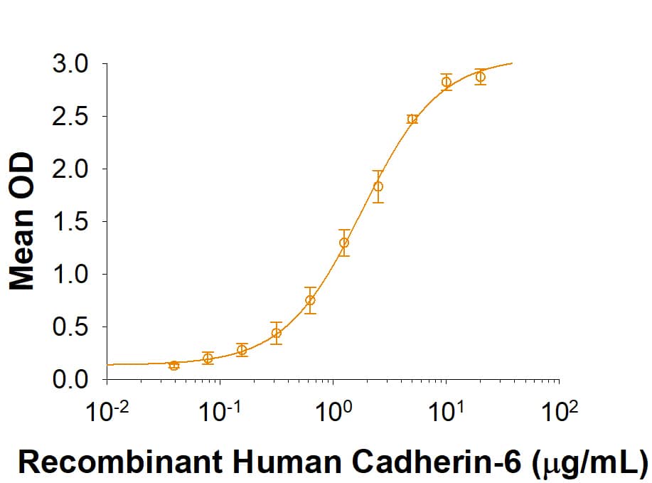 When Recombinant Human Cadherin 9 Fc Chimera is immobilized at 1 µg/mL, 100 µL/well, Recombinant Human Cadherin-6/KCAD Fc Chimera (Catalog # 2715-CA) binds with an ED50 of 0.6-3.6 µg/mL.