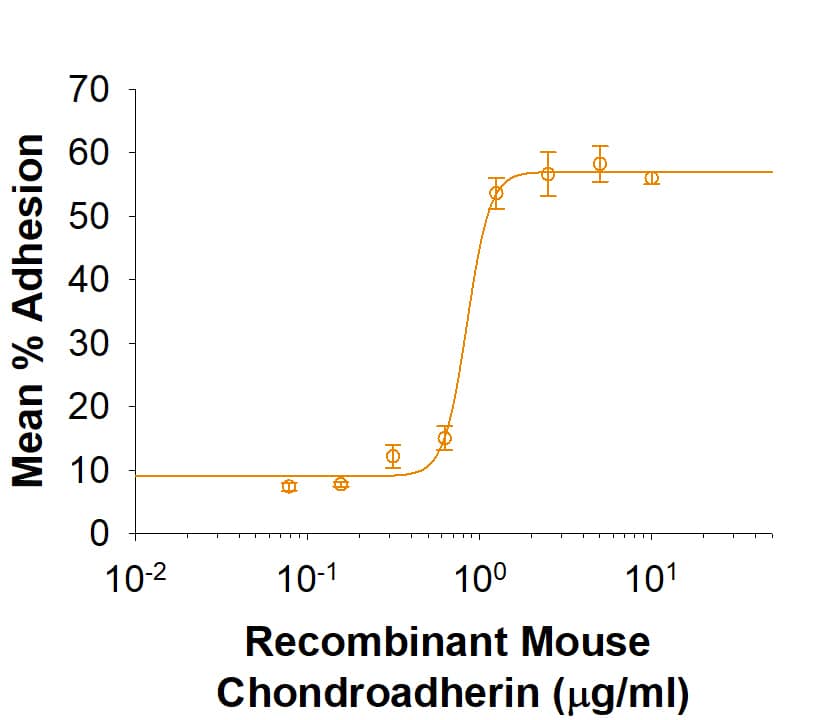 Recombinant Mouse Chondroadherin (Catalog # 10033-CH) induces adhesion of ATDC5 mouse chondrogenic cells. The ED50 for this effect is 0.08-0.48 μg/mL.