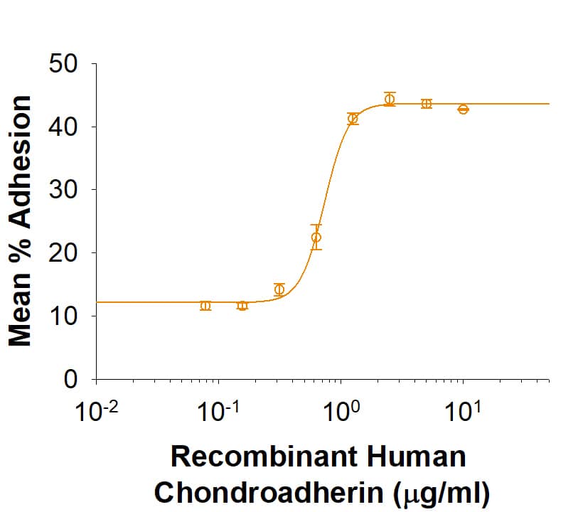 Recombinant Human Chondroadherin (Catalog # 8218-CH) induces adhesion of ATDC5 mouse chondrogenic cells. The ED50 for this effect is 0.4-2.4 μg/mL.