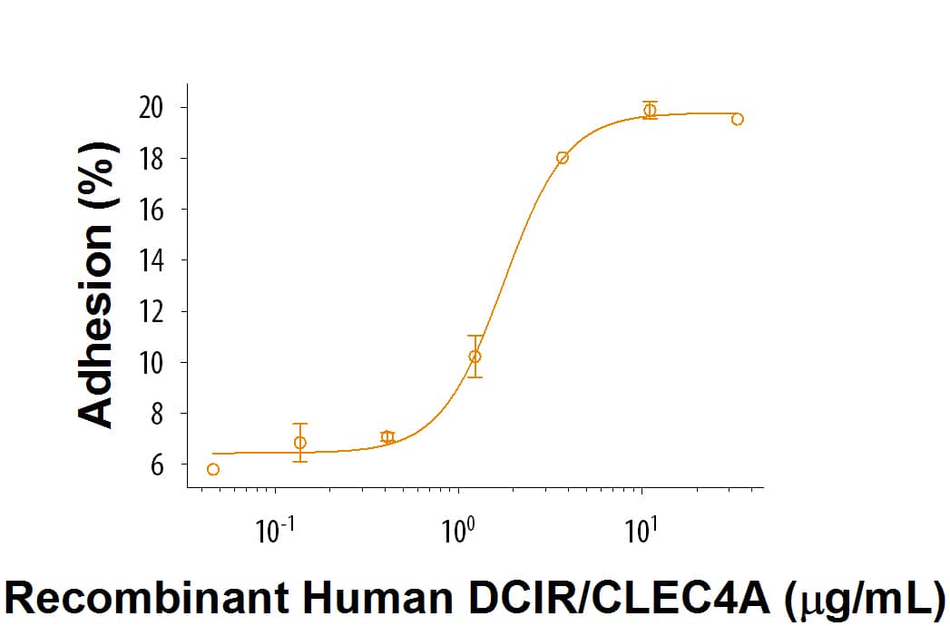 Recombinant Human DCIR/CLEC4A (Catalog # 9784-CI) supports the adhesion of SW480 human fibroblast carcinoma cells. The ED50 for this effect is 0.8-6.4 μg/mL.