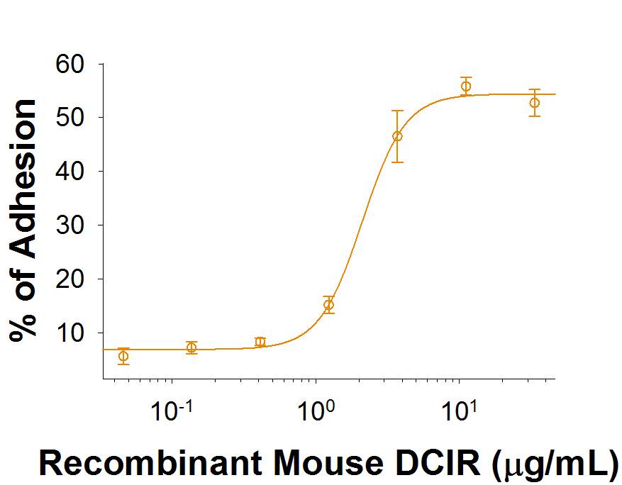 Recombinant Mouse DCIR/CLEC4A (Catalog # 9785-CI) supports the adhesion of Jurkat human acute T cell leukemia cells. The ED50 for this effect is typically 0.6-3.6 μg/mL.