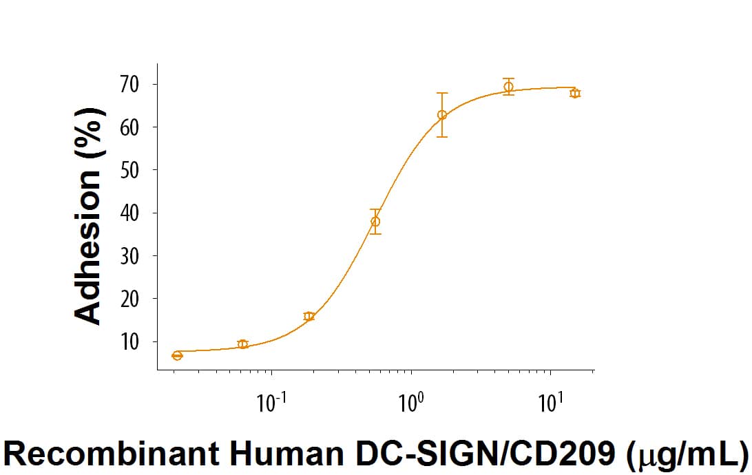 Bioactivity DC-SIGN/CD209 [Unconjugated]
