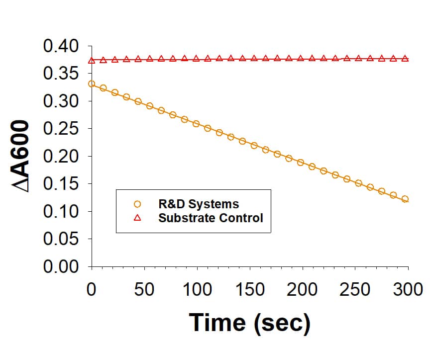 Recombinant Human DHODH (Catalog # 10062-DD) is measured by its reduction of 2,6-dichloroindophenol during oxidation of dihydroorotate.