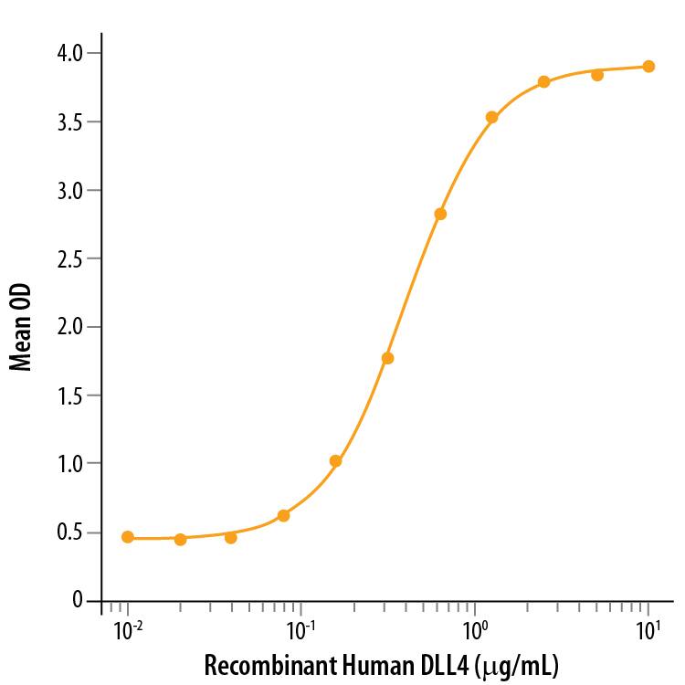 Recombinant Human DLL4 (Catalog # 1506-D4) enhances Recombinant Human/Mouse/Rat BMP-2 (Catalog # 355-BM) induced alkaline phosphatase activity in the C3H10T1/2 mouse embryonic fibroblast cell line. The ED50 for this effect is 150-600 ng/mL.