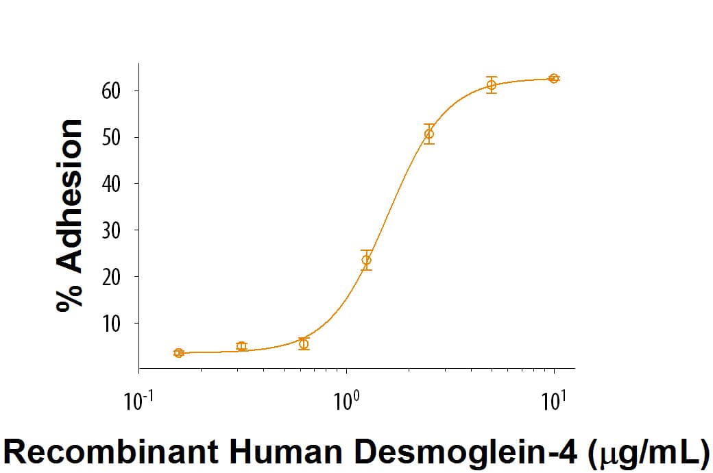 Bioactivity Desmoglein-4 [Unconjugated]