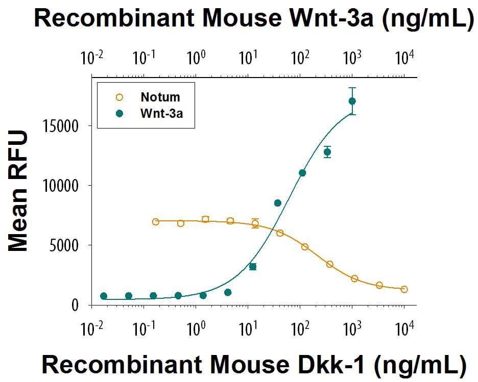 Bioactivity Dkk-1 [Unconjugated]