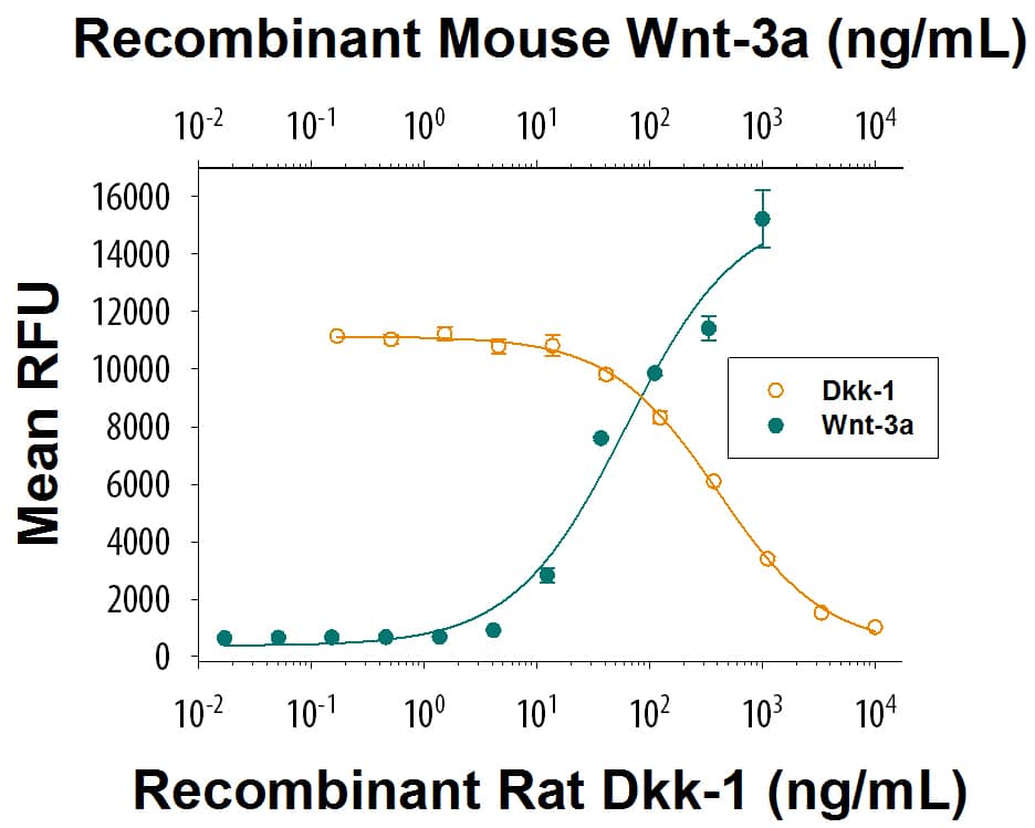 Recombinant Mouse Wnt-3a (Catalog # 1324-WN) induces a dose responsive increase in Wnt reporter activity in HEK293 cells (green circles). Recombinant Rat Dkk-1 (Catalog # 4010-DK/CF) inhibits a constant dose of 100 ng/mL of Recombinant Mouse Wnt-3a. The ED50 for this effect is 50-300 ng/mL (orange circles).