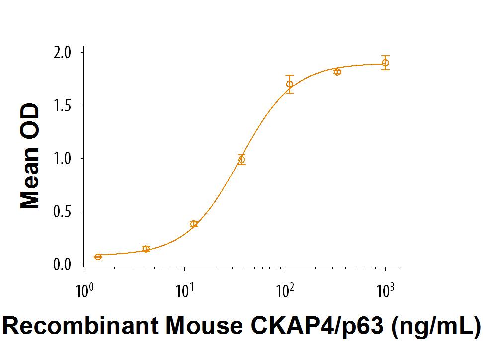 When Recombinant Human Dkk-1 N-Terminal Fragment (Catalog # 9837-DK) is immobilized at 1 µg/mL, 100 µL/well, Recombinant Mouse CKAP4/p63 (Catalog # 9734-CK) binds with an ED50 of 9-54 ng/mL.